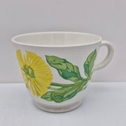 Arabia, Suvi ISO Kuppi, GOG